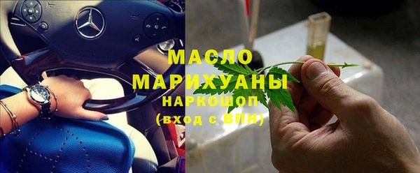 гидра Абаза
