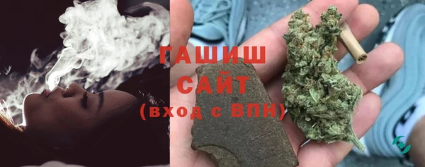 гидра Абаза