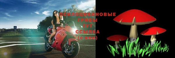 стаф Абдулино