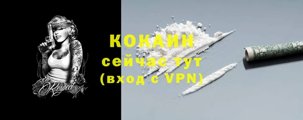 стаф Абдулино