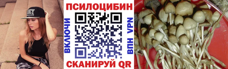 Псилоцибиновые грибы Psilocybe  Рассказово 